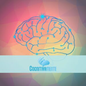 Contribuições das neurociências para a educação